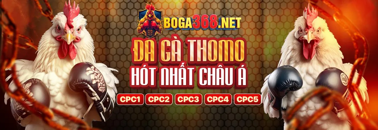 Hướng Dẫn Bắt Đầu Với vvvwin88 app